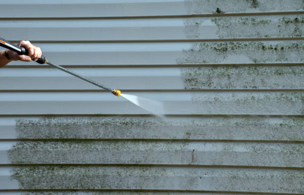 Best Mold Cleaning Services  in Pistakee Highlands, IL