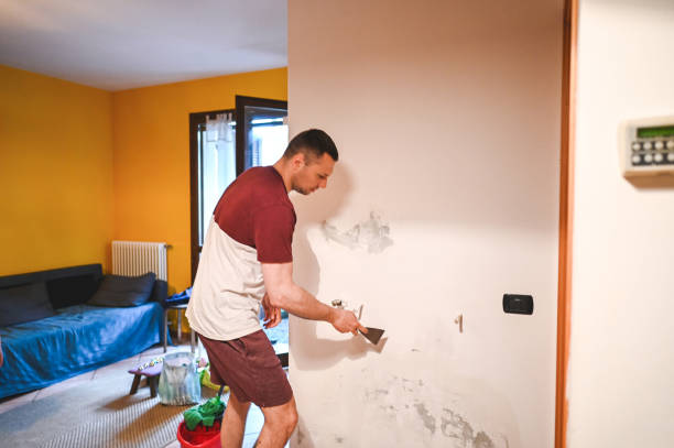 Best Certified Mold Removal  in Pistakee Highlands, IL